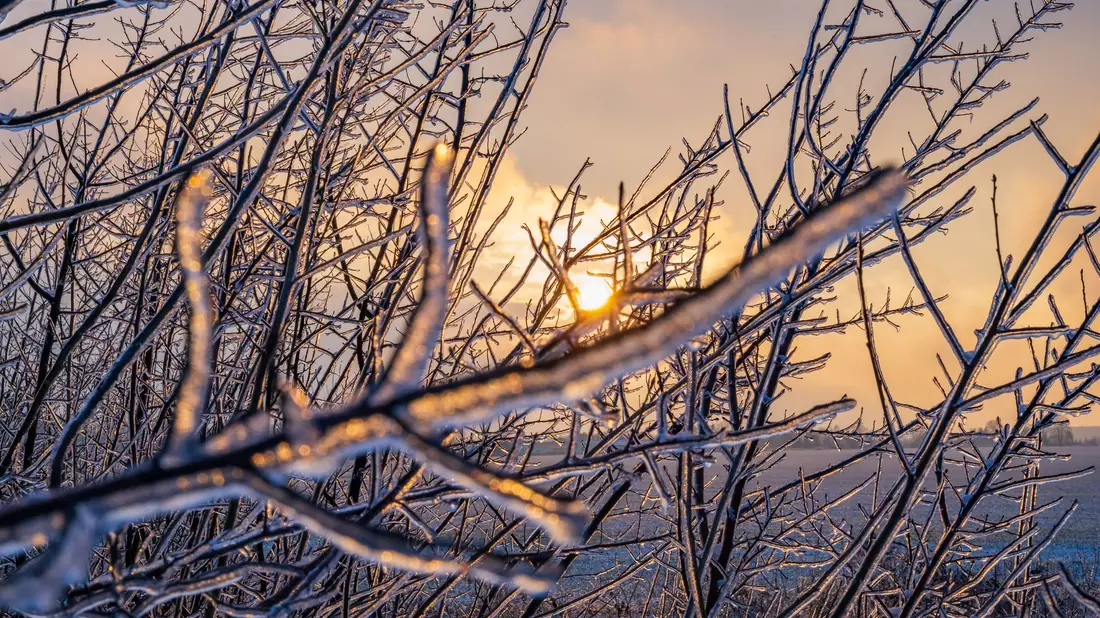Das winterliche Wetter hält in vielen Regionen an.  - Bild: Patrick Pleul/dpa