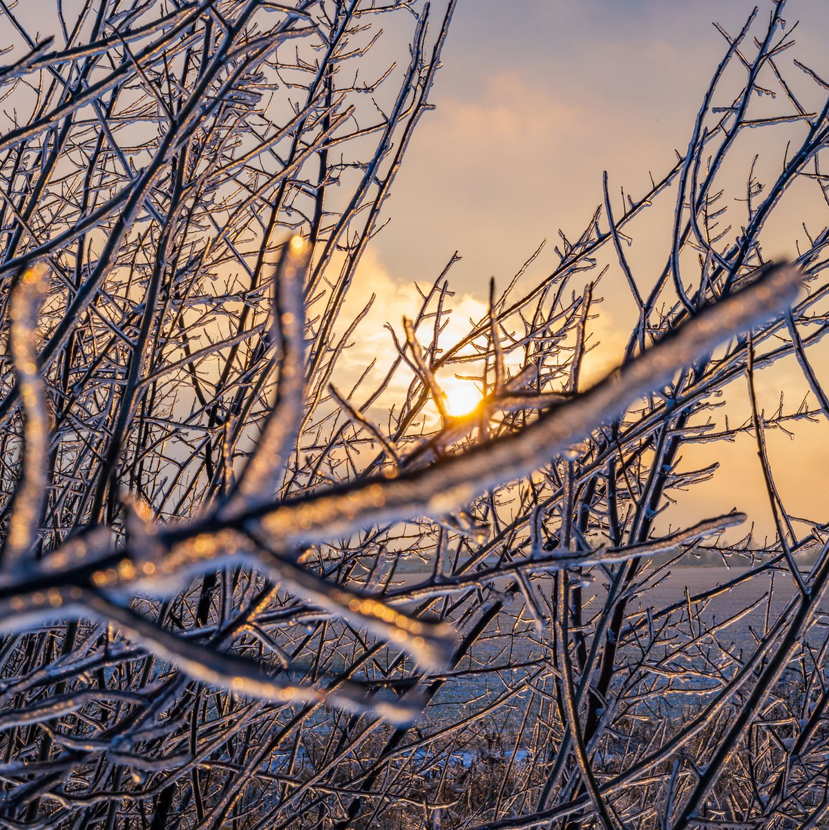 Das winterliche Wetter hält in vielen Regionen an.  - Foto: Patrick Pleul/dpa