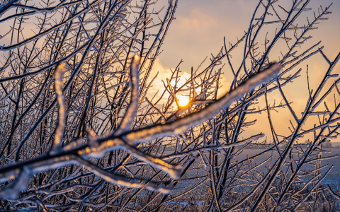 Das winterliche Wetter hält in vielen Regionen an.  - Foto: Patrick Pleul/dpa