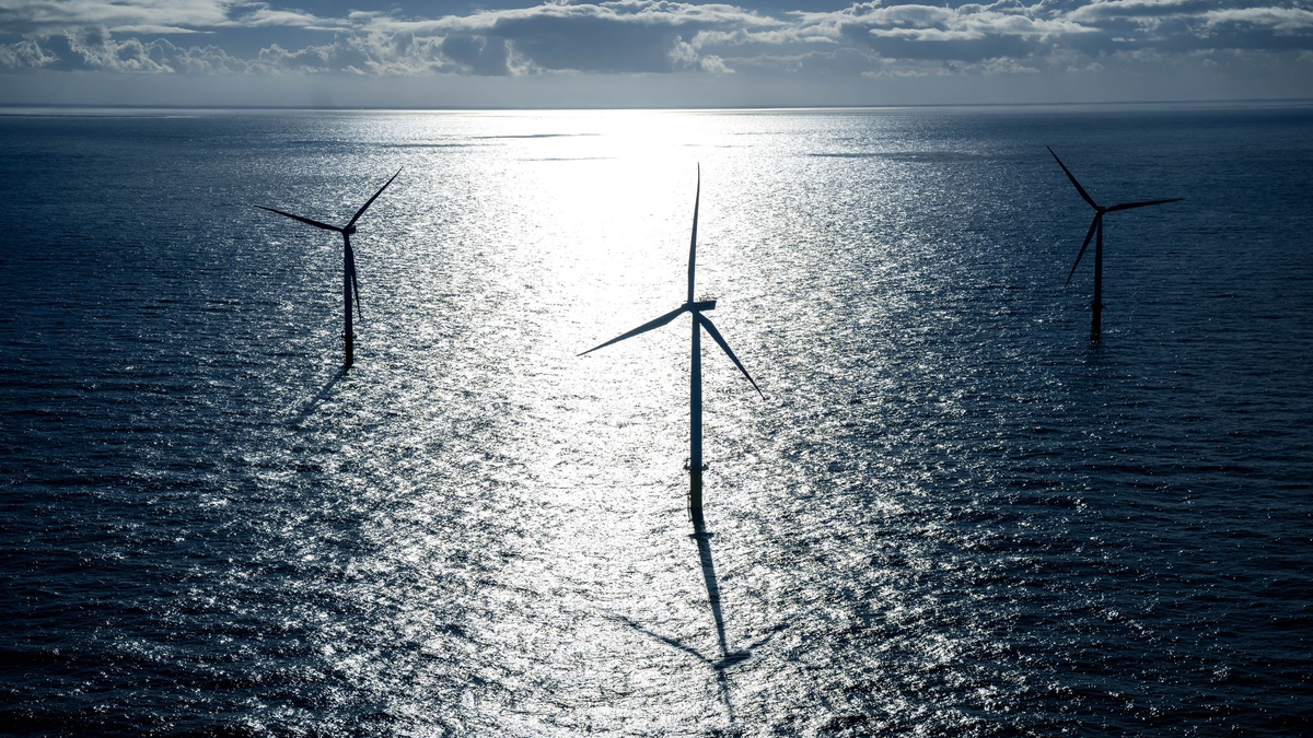 Bevor ein Energieunternehmen einen Windpark bauen kann, muss es sich in einer Ausschreibung gegen Mitbewerber durchsetzen - wenn es welche gibt. (Archivbild)  - Foto: Sina Schuldt/dpa