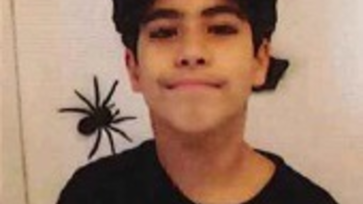 POL-HH: 260128-1.Vermisstenfahndung nach 10-Jährigem Jungen aus Hamburg-Wilhelmsburg - Foto: presseportal.de