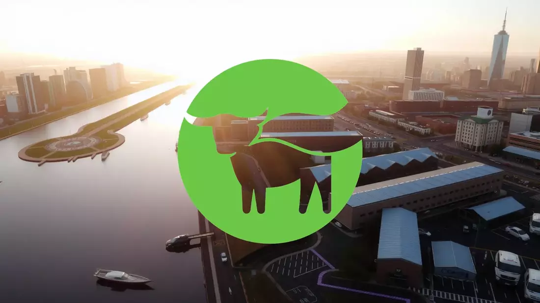 Beyond Meat Aktie: Verlorene Illusionen? - Bild: über boerse-global.de