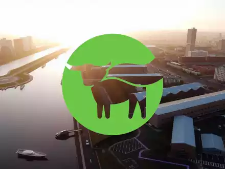 Beyond Meat Aktie: Verlorene Illusionen? - Foto: über boerse-global.de