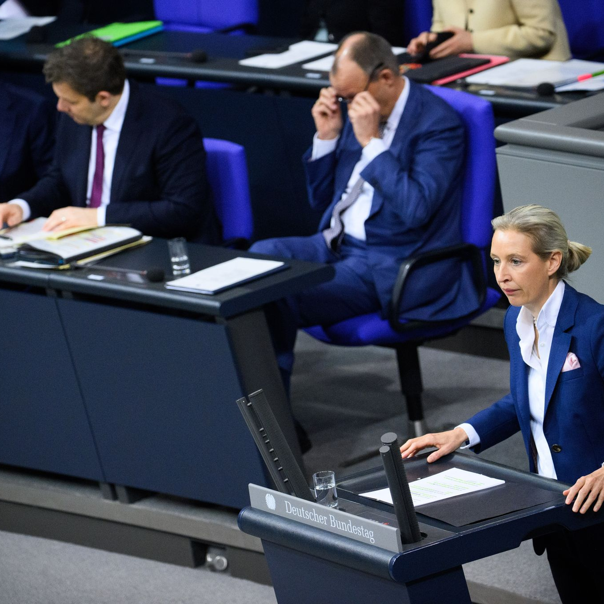 Weidel will Außenpolitik an nationalen Interessen ausrichten. - Foto: Bernd von Jutrczenka/dpa