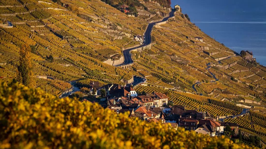 Der Kanton Waadt ist durch Weinanbau geprägt. (Archivbild) - Bild: Jean-Christophe Bott/KEYSTONE/dpa
