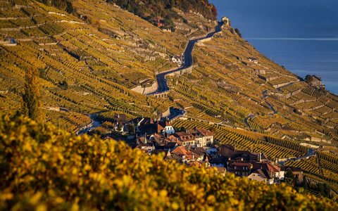 Der Kanton Waadt ist durch Weinanbau geprägt. (Archivbild) - Foto: Jean-Christophe Bott/KEYSTONE/dpa