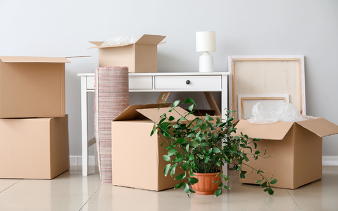 Lagerräume - Foto: @serezhny