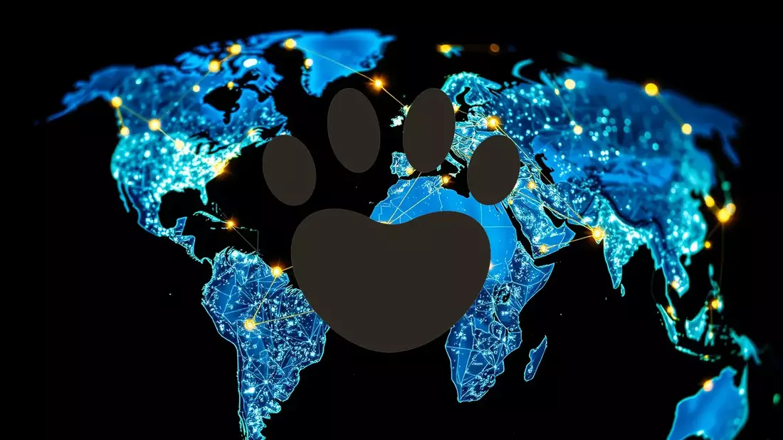 Legal Challenge Casts Shadow Over PetMed Express - Bild: über boerse-global.de