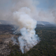 Hohe Temperaturen und starke Winde erschweren die Löscharbeiten. - Foto: Victor R. Carivano/AP/dpa