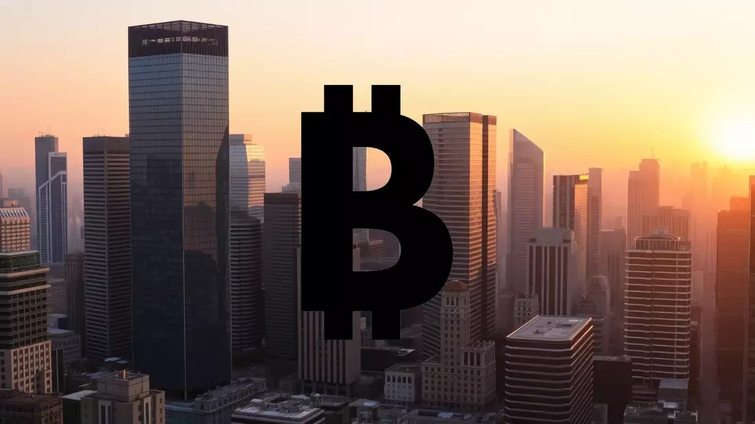 Strategy Inc.: La apuesta por Bitcoin que pone en jaque a sus accionistas - Bild: über boerse-global.de