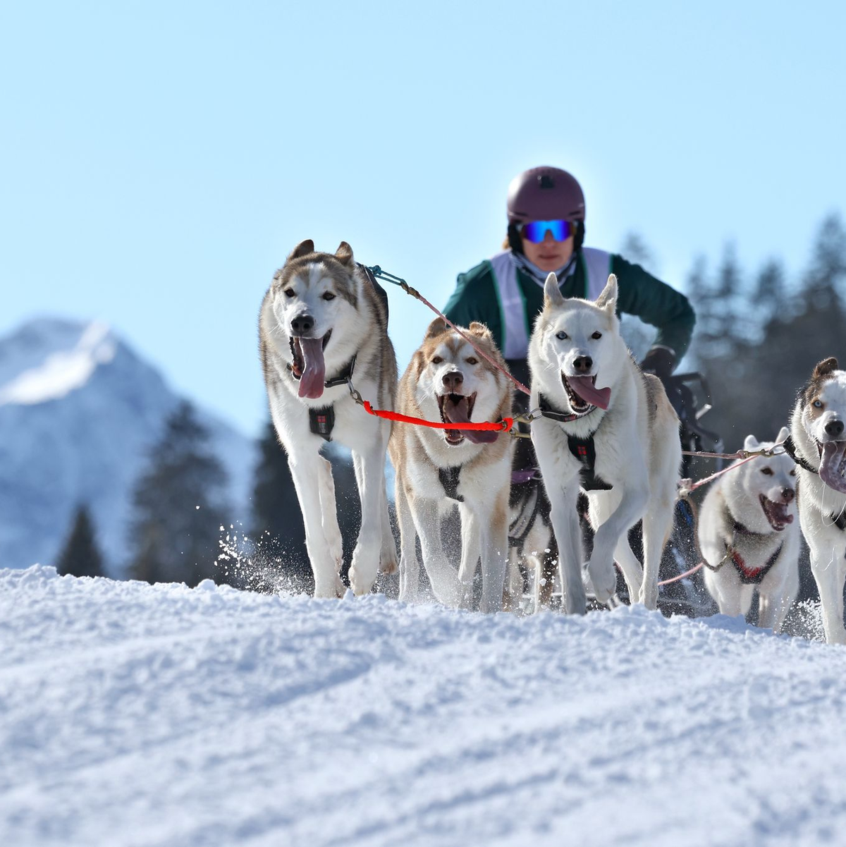 Die Strecke gilt als technisch anspruchsvoll. - Foto: Karl-Josef Hildenbrand/dpa