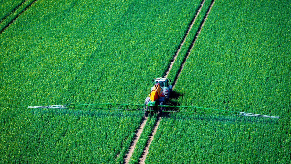 Pflanzenschutzmittel belasten Nützlinge im Boden (Archivbild) - Foto: Jens Büttner/dpa