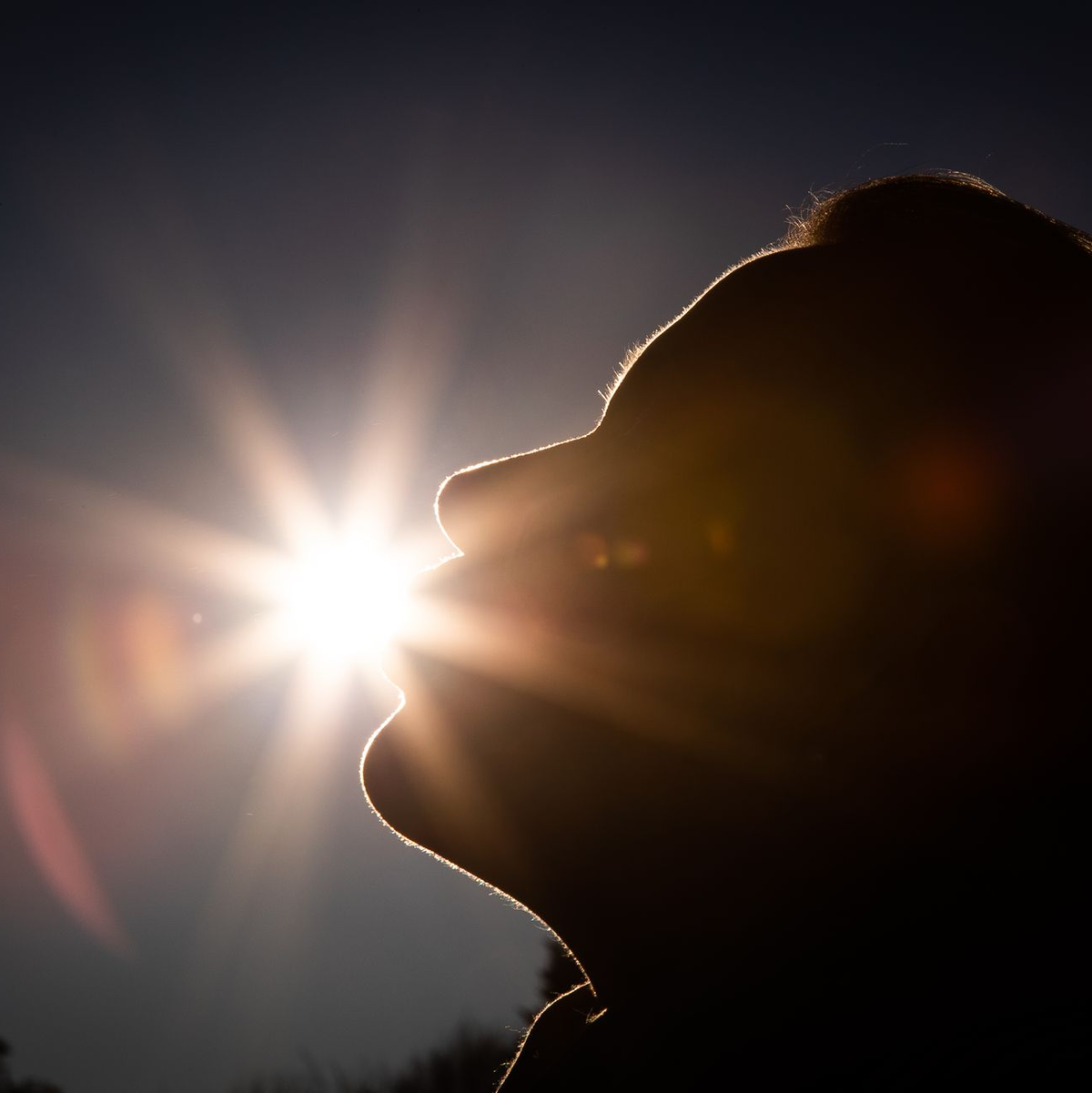 Über die Haut wird ein Großteil von Vitamin D im Körper gebildet. (Symbolbild) - Foto: Friso Gentsch/dpa