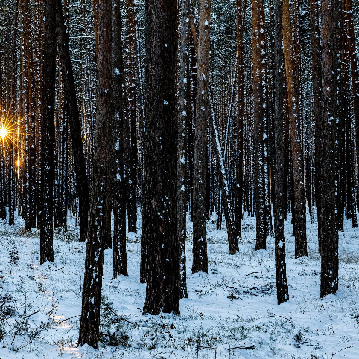 Im Winter muss der Körper auf die Vitamin-D-Speicher im Körper zugreifen. (Symbolbild) - Foto: Frank Hammerschmidt/dpa