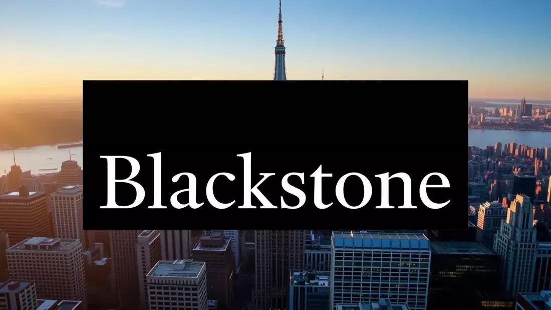 Blackstone’s Strong Earnings Met With Analyst Caution - Bild: über boerse-global.de
