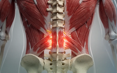 Segmentale Stabilisation: Das Geheimnis gegen Rückenschmerzen - Foto: über boerse-global.de