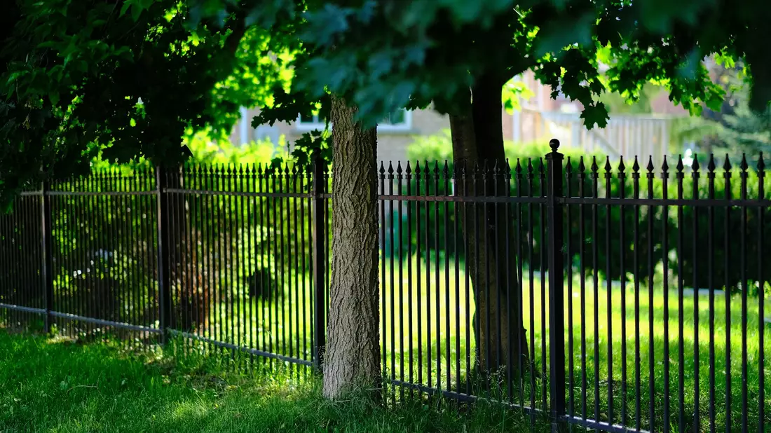 stabiler Gartenzaun - Bild: @Dilmeer Hazoor auf Unsplash