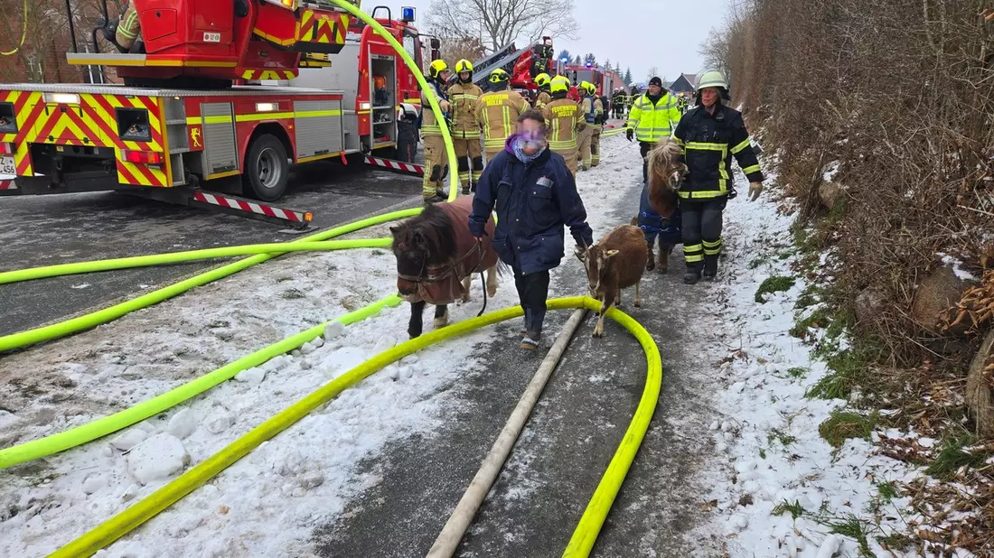 FW-RZ: Dachstuhlbrand in Linau/Hzgt. Lauenburg - Bild: presseportal.de