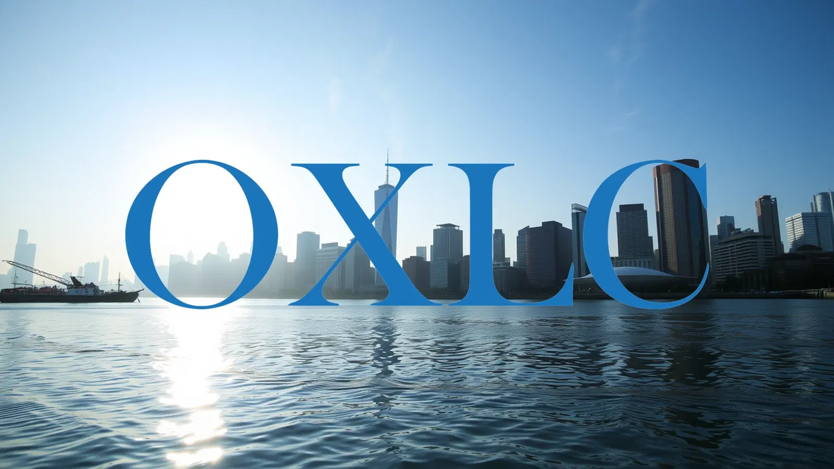 Oxford Lane Capital Adjusts Strategy Amid Portfolio Valuation Decline - Foto: über boerse-global.de