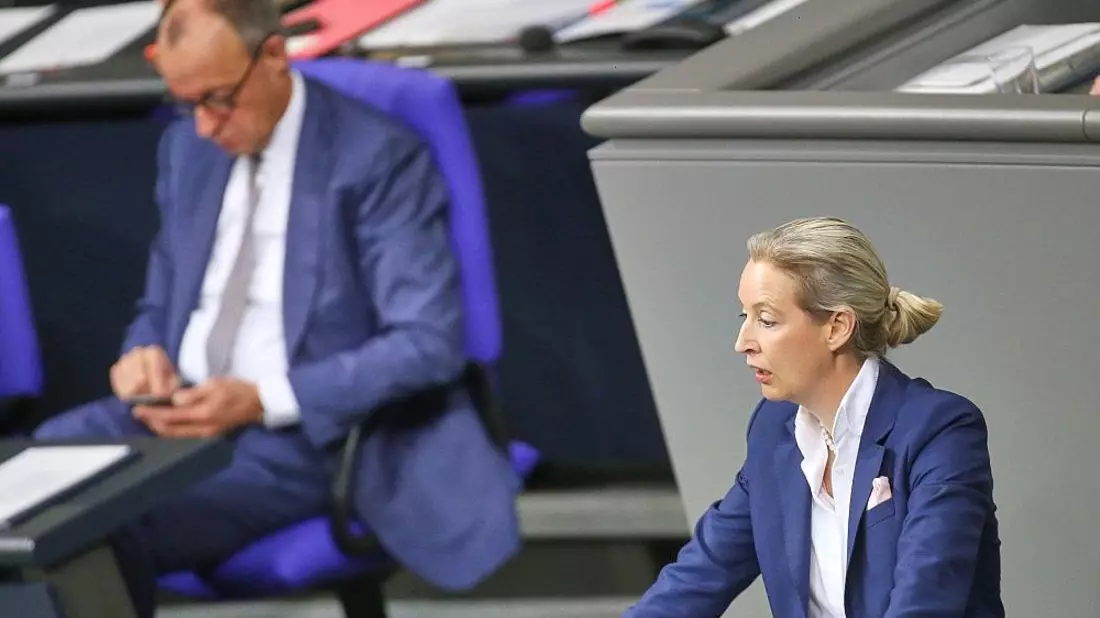 Friedrich Merz und Alice Weidel am 29.01.2026 - Bild: via dts Nachrichtenagentur