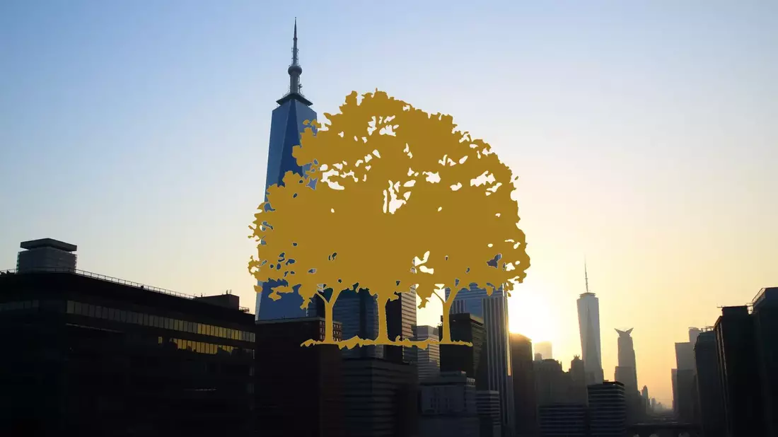 Canopy Growth’s Q3 2026 Report: A Crucial Financial Health Check - Bild: über boerse-global.de