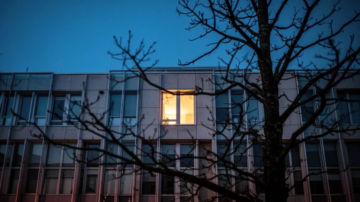 EUDR: Start verschoben, Regeln vereinfacht – Null-Risiko-Debatte bleibt - Foto: über boerse-global.de