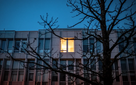 EUDR: Start verschoben, Regeln vereinfacht – Null-Risiko-Debatte bleibt - Foto: über boerse-global.de