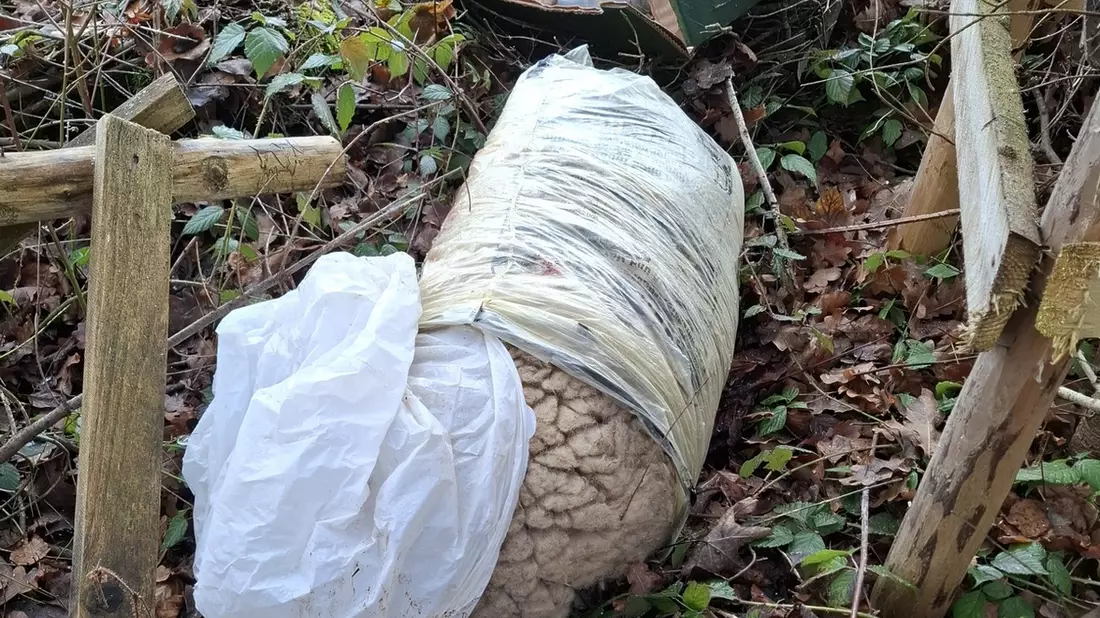POL-UL: (BC) Ingoldingen - Tierabfälle am Waldrand entsorgt / Am Montag fand eine Spaziergängerin bei Ingoldingen Säcke mit Tierresten eines Schafes. Die hatte ein Unbekannter in den vergangen Tagen entsorgt. - Bild: presseportal.de