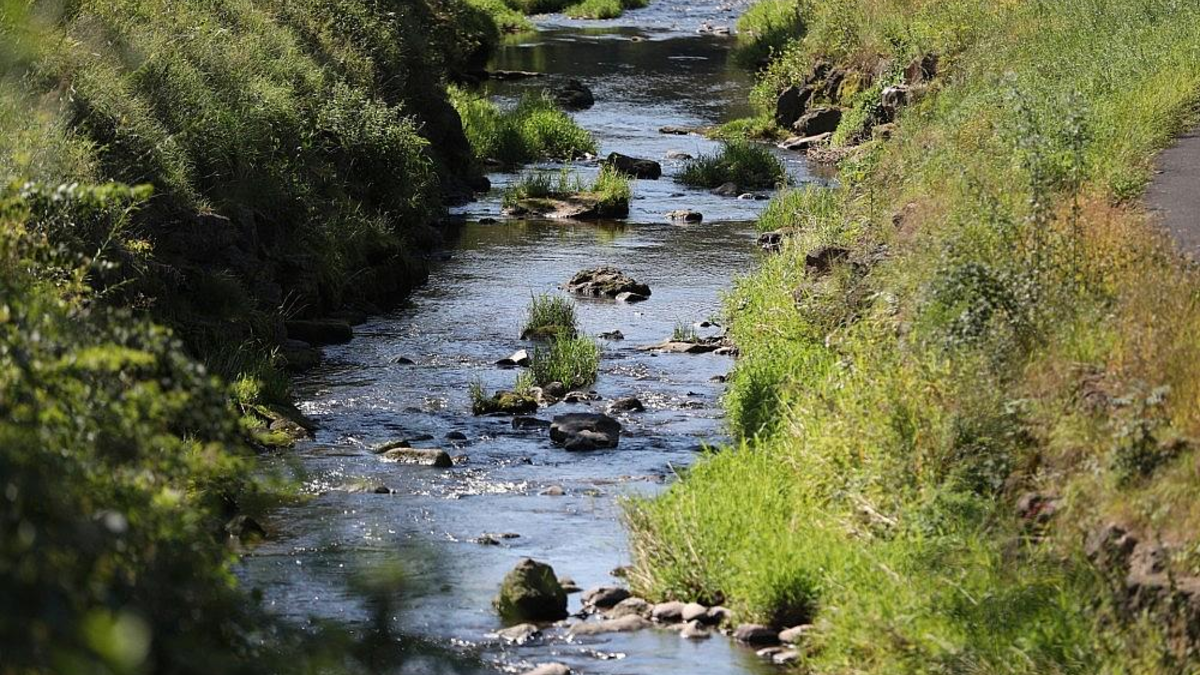 Fluss Sinn (Archiv) - Foto: via dts Nachrichtenagentur