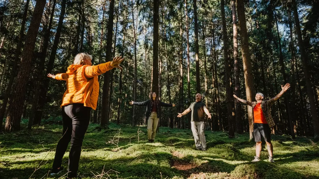 Gesundheit wächst im Wald / Warum Kur- und Heilwälder in Ostbayern zu modernen Therapieräumen werden - Bild: presseportal.de