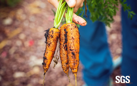 SGS erhält Zulassung als Öko-Kontrollstelle für Lebensmittel- & Futtermittelverarbeitung - Foto: presseportal.de