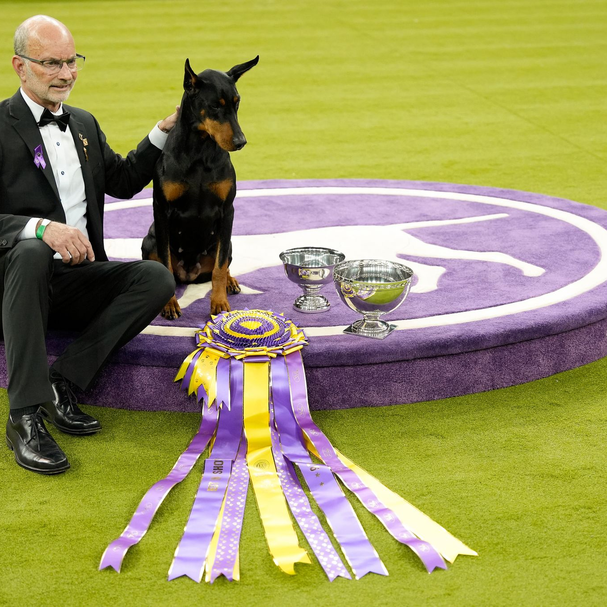 «Penny», die Dobermann-Dame, ist die 42. weibliche Gewinnerin in der 150 Jahre alten Geschichte des Westminster-Hundewettbewerbs.  - Foto: Yuki Iwamura/AP/dpa