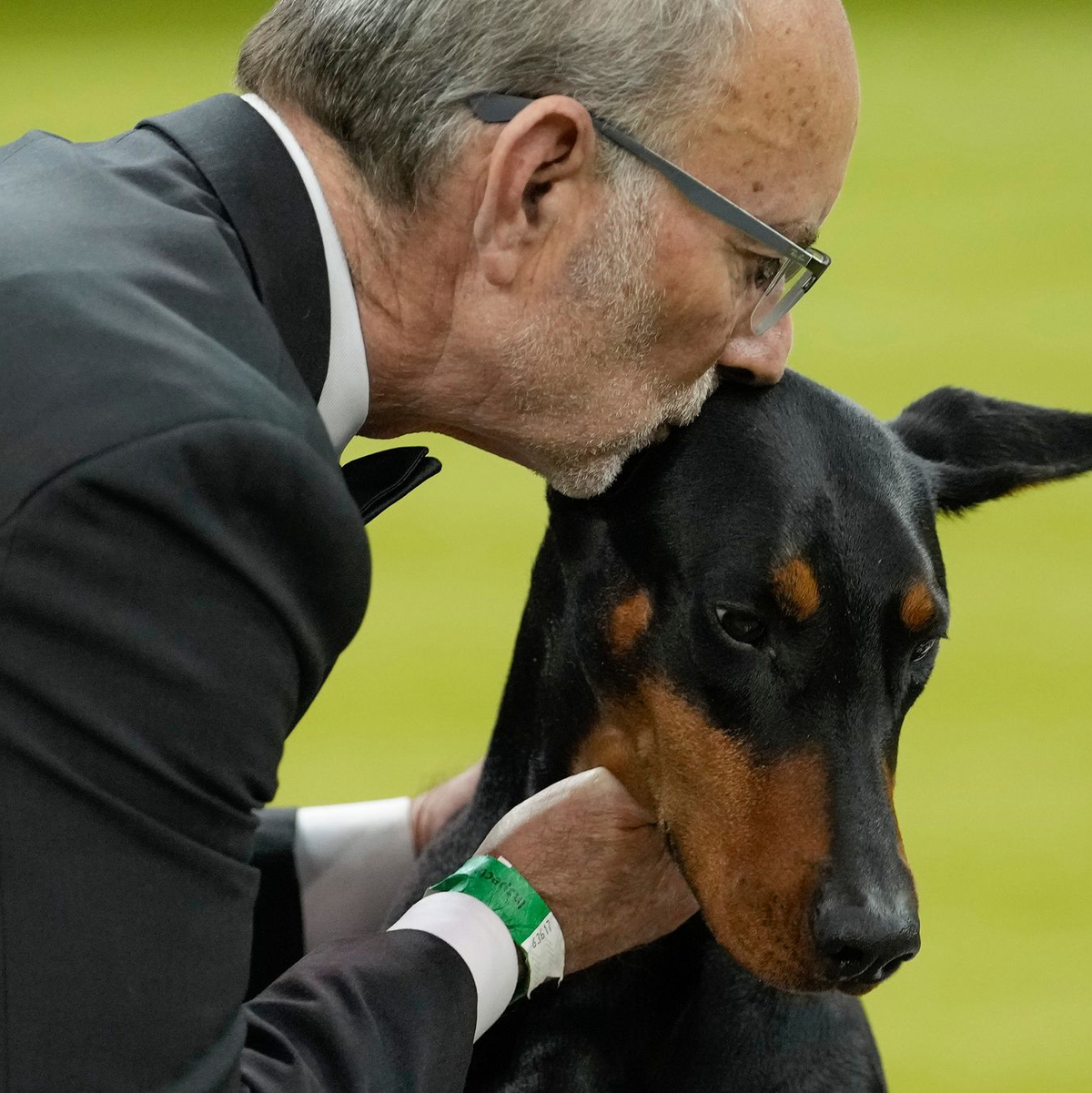 Wer bei der weltberühmten Westminster-Hundeshow den wichtigsten Preis gewinnt, wird oft zu einem Star.  - Foto: Yuki Iwamura/AP/dpa