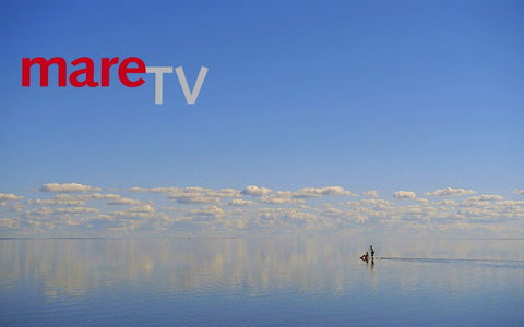 25 Jahre “mareTV” – Jubiläum der beliebten NDR Meeressendung - Foto: presseportal.de