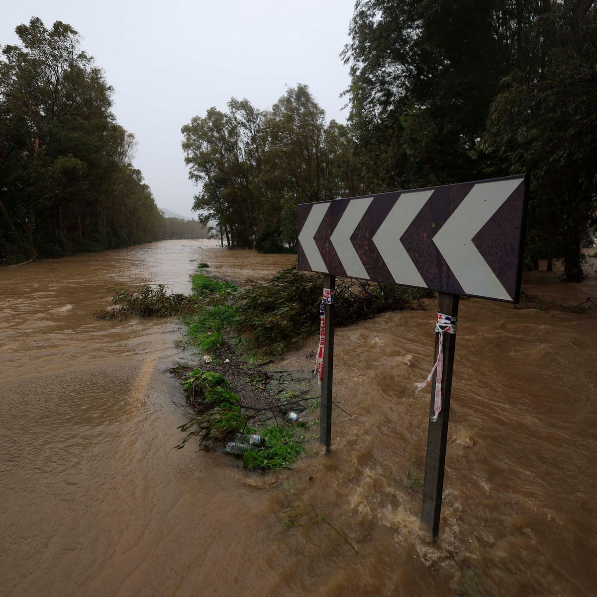 Starkregen ließ in Portugal und wie hier im Süden Spaniens Flüsse über die Ufer treten.  - Foto: Nono Rico / Europa Press/EUROPA PRESS/dpa