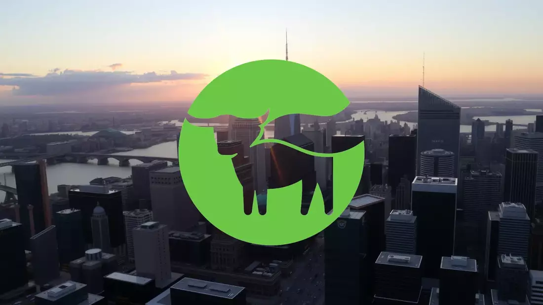 Beyond Meat: Una apuesta por la diversificación en medio de la tormenta financiera - Bild: über boerse-global.de