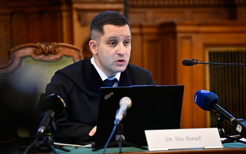 Richter Jozsef Sos folgte in seinem Urteil in weiten Teilen der Argumentation der Staatsanwaltschaft. - Foto: Denes Erdos/AP/dpa