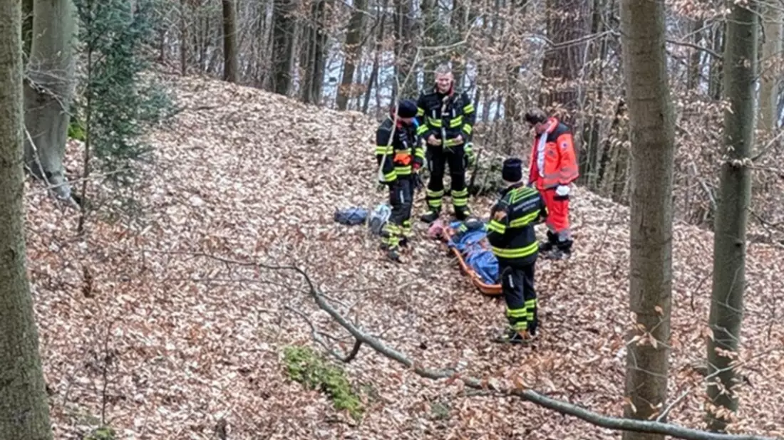 FW-M: Aufwendige Rettung nach Sturz im Wald (Harlaching) - Bild: presseportal.de