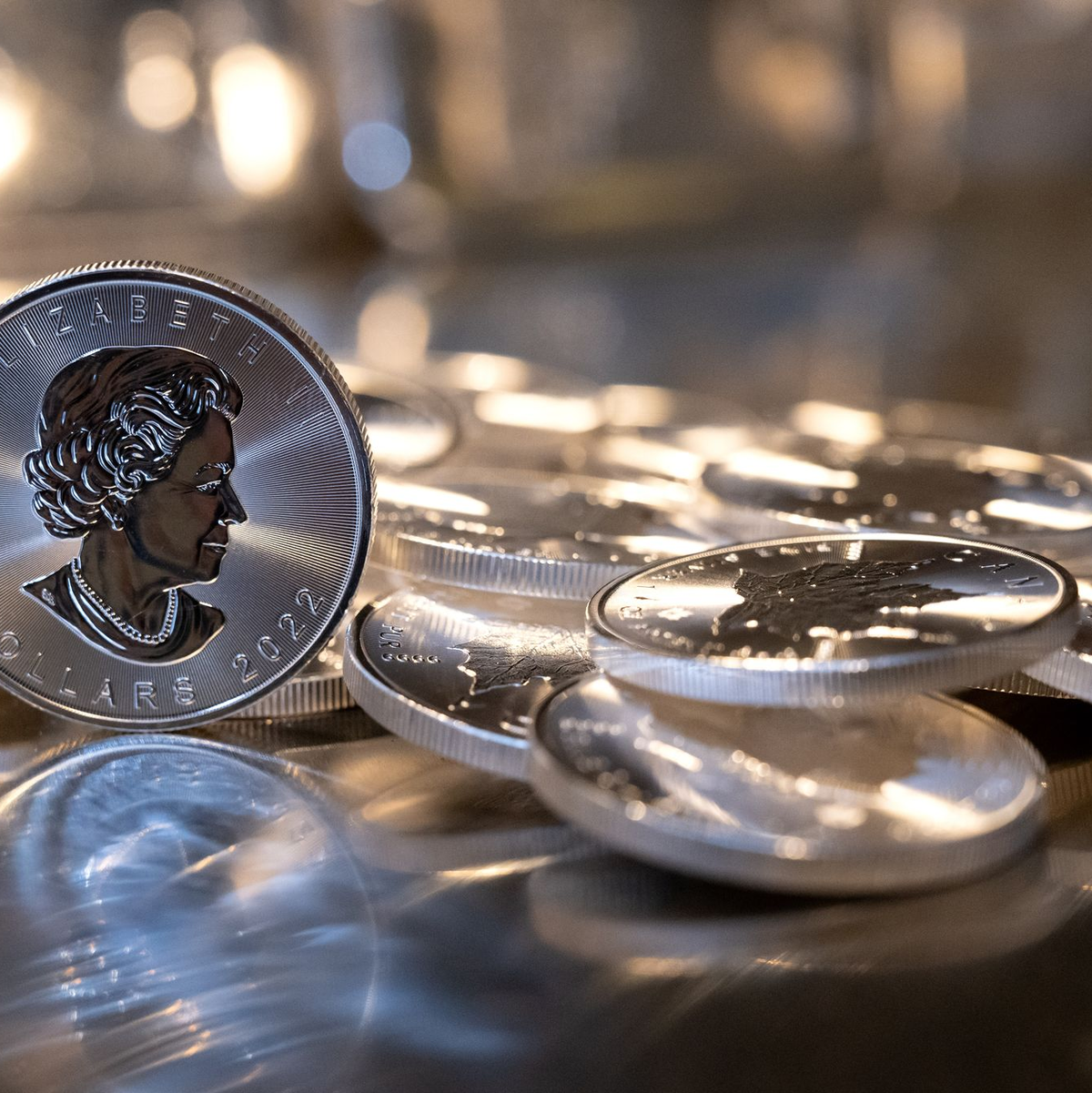 Silbermünzen wie die  «Maple Leaf» sind bei Sammlern gefragt. (Archivbild) - Foto: Sven Hoppe/dpa