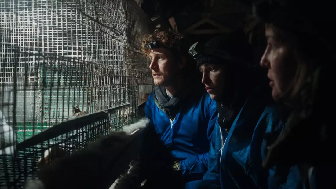 ANINOVA dokumentiert gemeinsam mit Malte Zierden und Phia Quantius Tierquälerei auf finnischen Pelzfarmen - Bild: presseportal.de