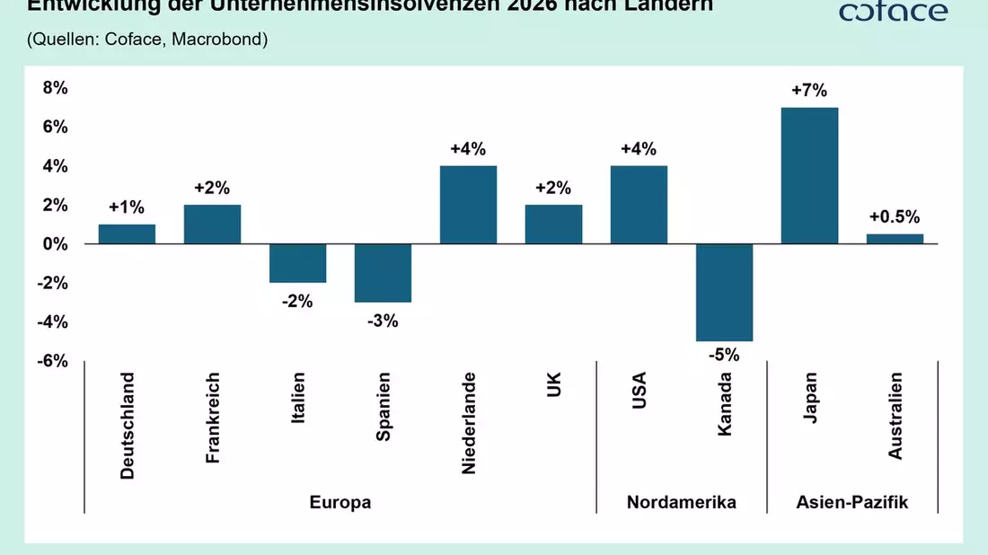 Globale Insolvenzen 2026: Stabilisierung auf dünnem Eis - Bild: presseportal.de