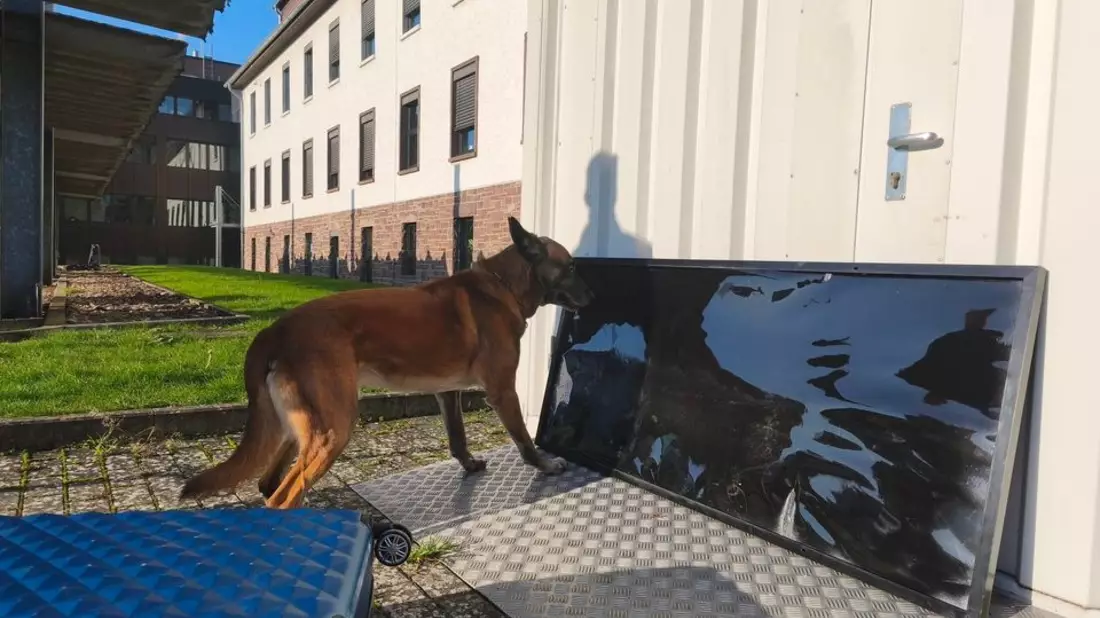 POL-HX: Polizeihund Lemmy erschnüffelt 65 Kilogramm Drogen-Pillen - Bild: presseportal.de