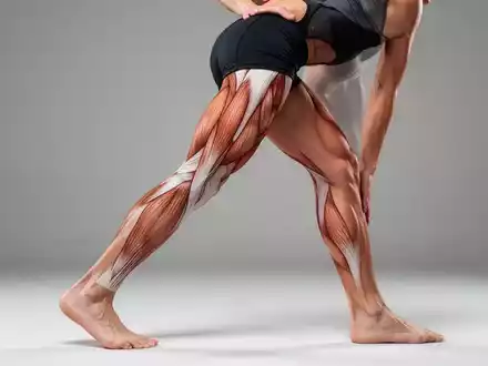 Toes-Touch: Einfache Dehnung für starke Hamstrings - Foto: über boerse-global.de