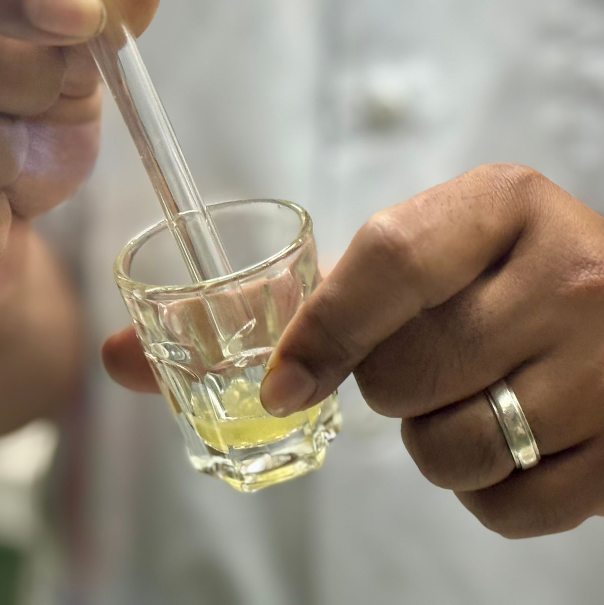 Das gefährliche Gift ist gelblich und zäh - und wichtig für die Produktion von Antiserum. - Foto: Carola Frentzen/dpa