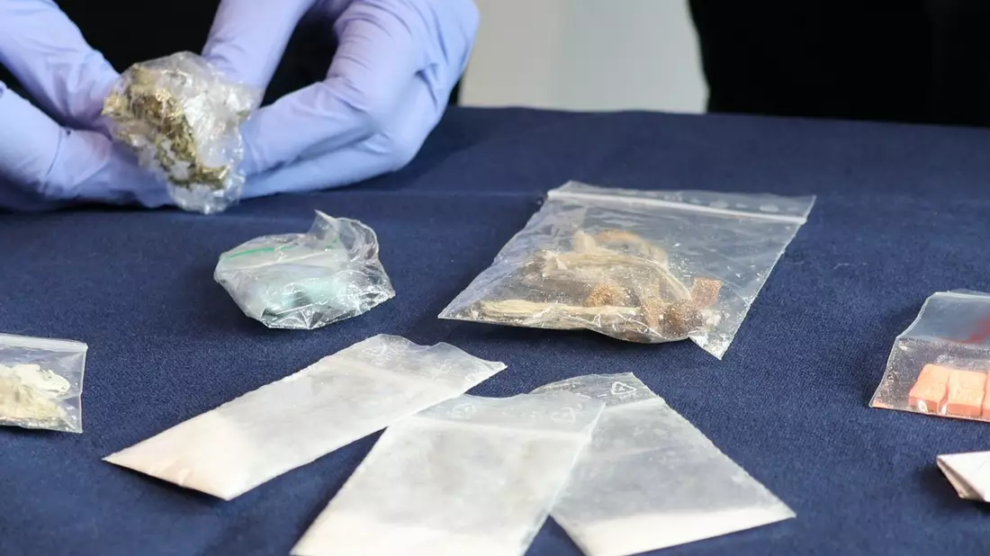 HZA-RO: Rosenheimer ZOLL: Zahlreiche Drogenaufgriffe / Kontrollen von Einreisenden zu Rosenheimer Festival - Bild: presseportal.de