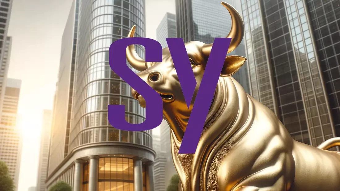 Synopsys Faces a Critical Post-Acquisition Report - Bild: über boerse-global.de