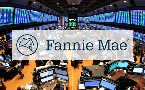 Fannie Mae Aktie: Erfreuliche Marktreaktion! - Foto: über boerse-global.de