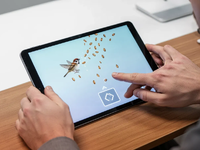 MS Kognition erweitert App um spielerisches Training „Spatzenfütterung“ - Foto: über boerse-global.de