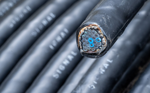 Höchstwahrscheinlich wegen Kabelschäden an einem Bahnübergang kommt es auf der Bahnstrecke zwischen Erfurt und Sangerhausen zu Beeinträchtigungen. (Symbolbild)  - Foto: Stefan Puchner/dpa