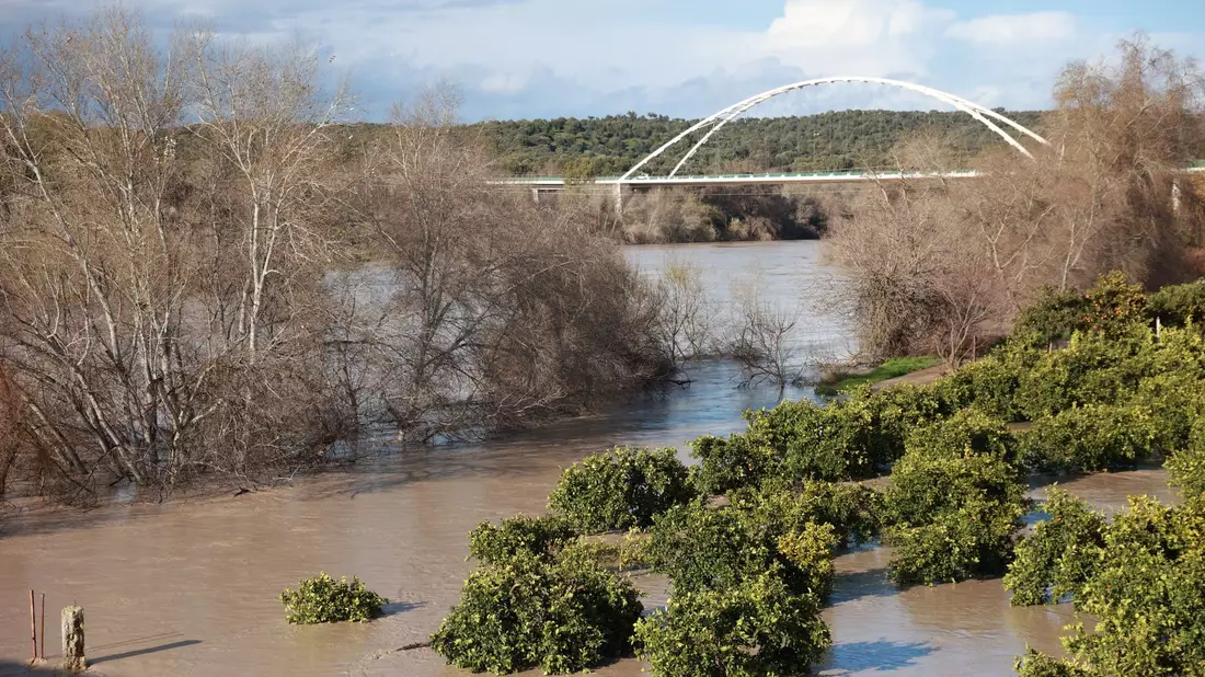 Trotz einer leichten Wetterbesserung am Freitag traten viele Flüsse im südspanischen Andalusien wie hier der  Guadalquivir über die Ufer. - Bild: Rocío Ruz/EUROPA PRESS/dpa